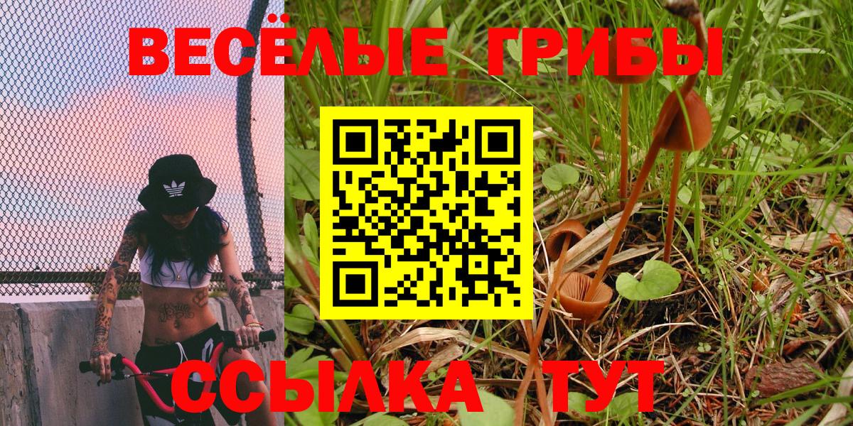 Псилоцибиновые грибы Psilocybine cubensis  Галлюциногенные грибы Magic Shrooms  Ангарск  Вход с VPN 