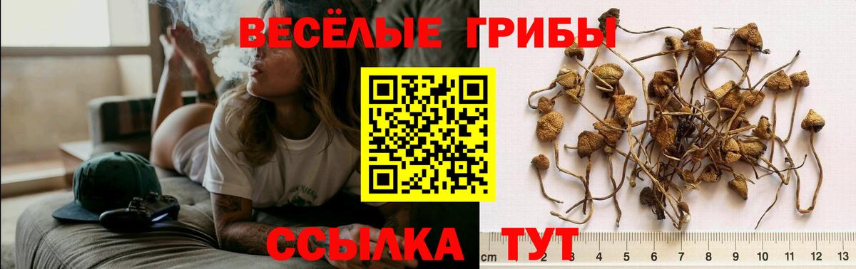 Галлюциногенные грибы мухоморы Ангарск